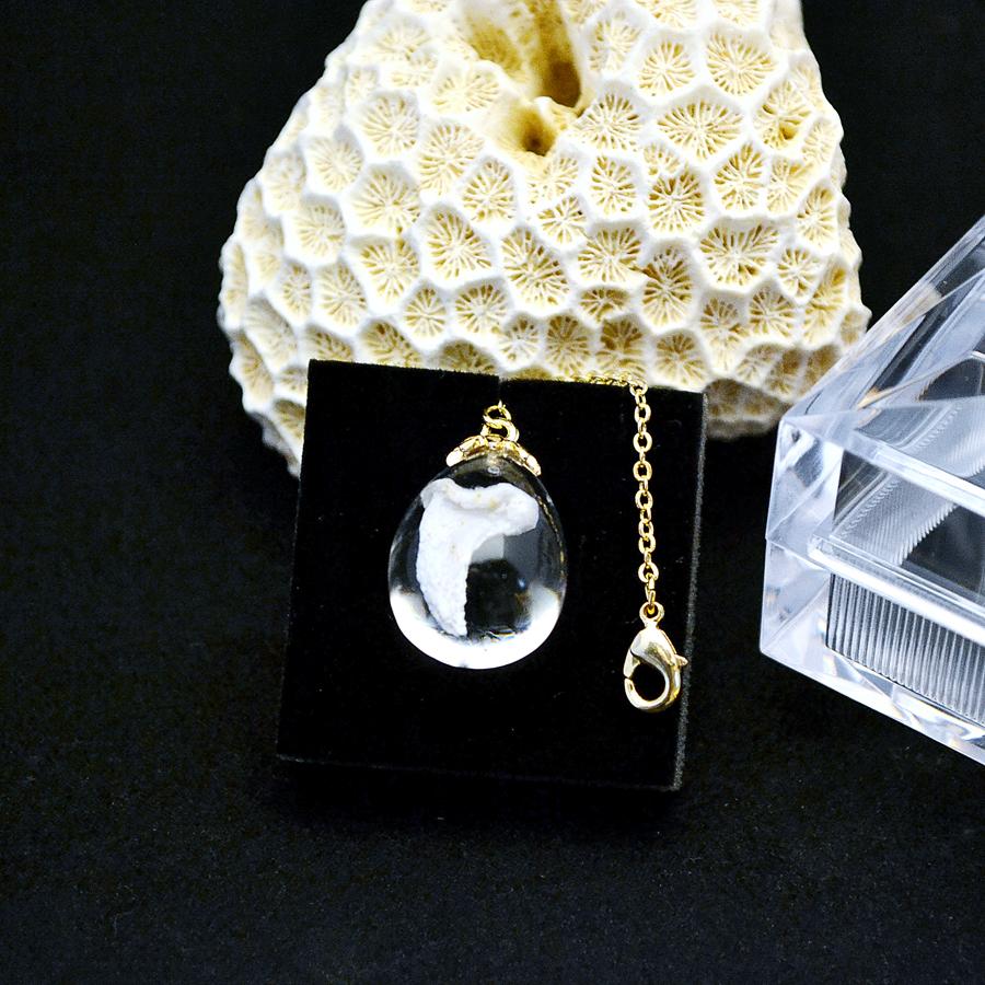 ワンちゃんの新しいお葬式・納骨「わんレミ」です！【Wan! Reminiscence】愛犬用