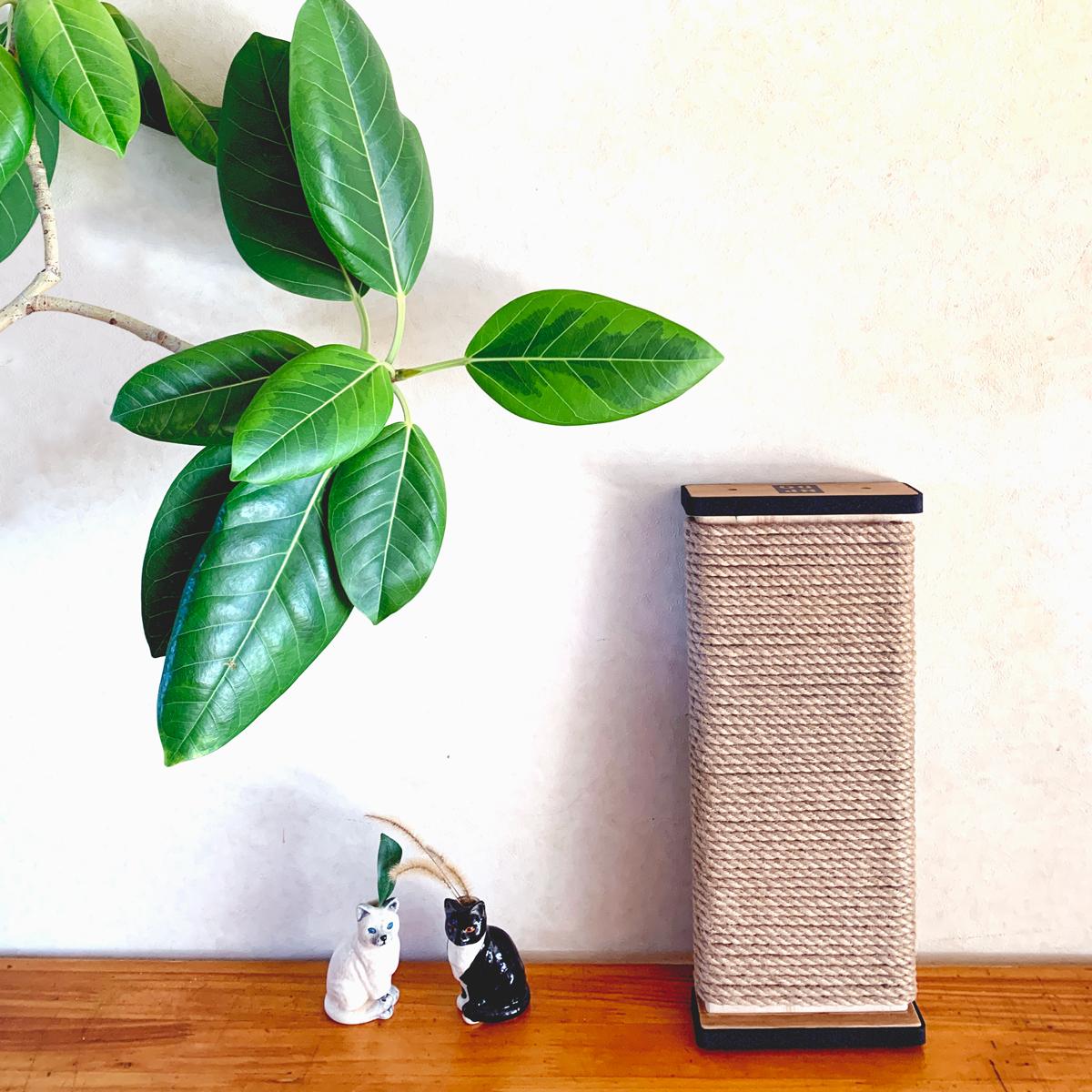 いちばん小さい爪とぎ「チョイとぎ」です！